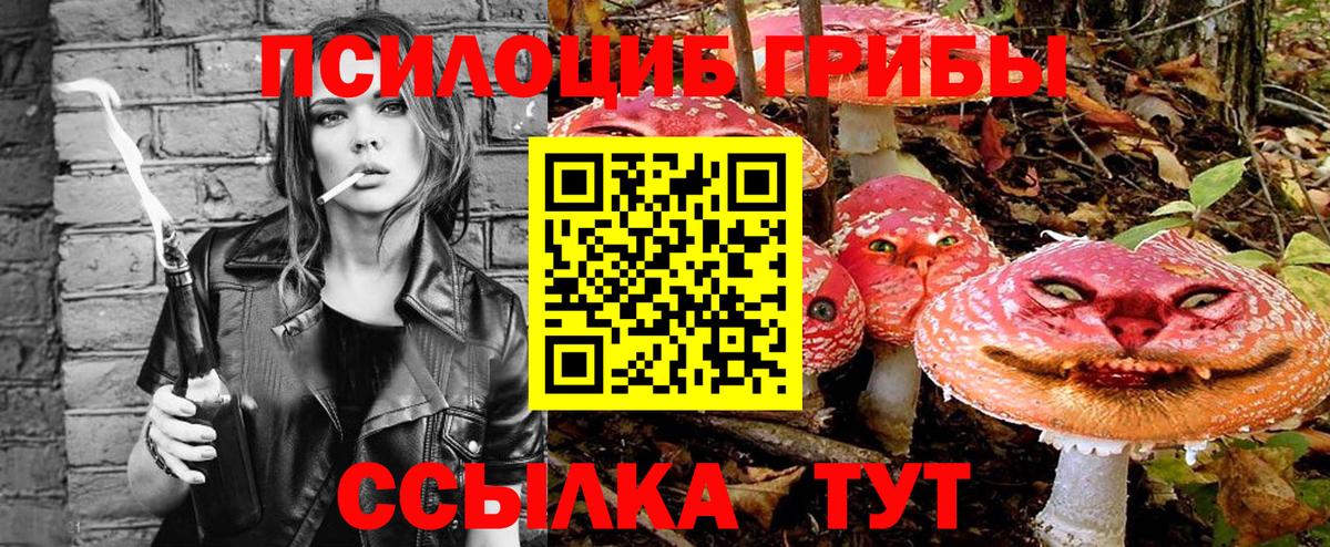 Елизово  Псилоцибиновые грибы Psilocybine cubensis  Вход с VPN 