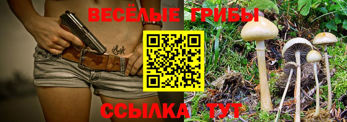Псилоцибиновые грибы Magic Shrooms Елизово